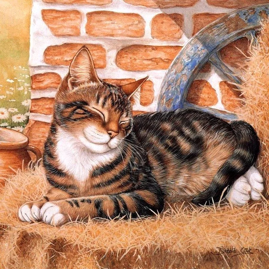 Художник Дебби Кук