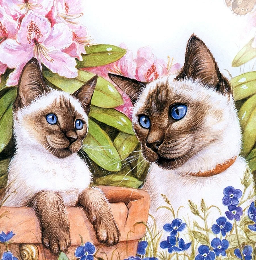 Художник Дебби Кук