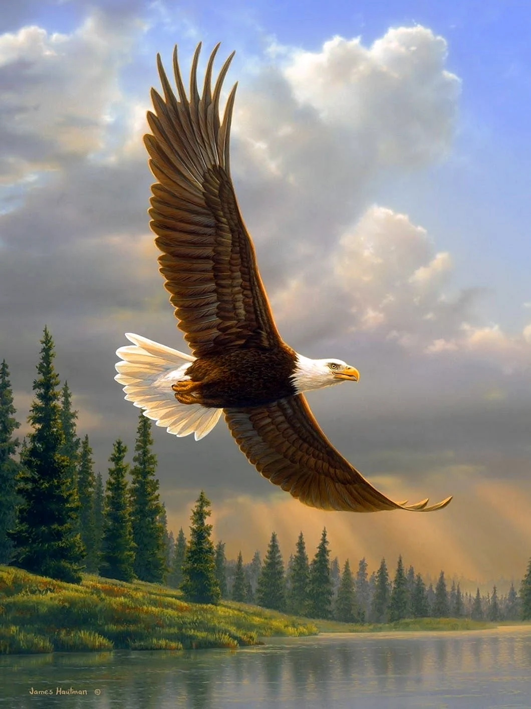 Художник James Hautman