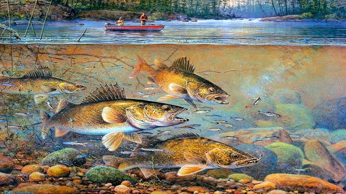 Художник Scott Zoellick