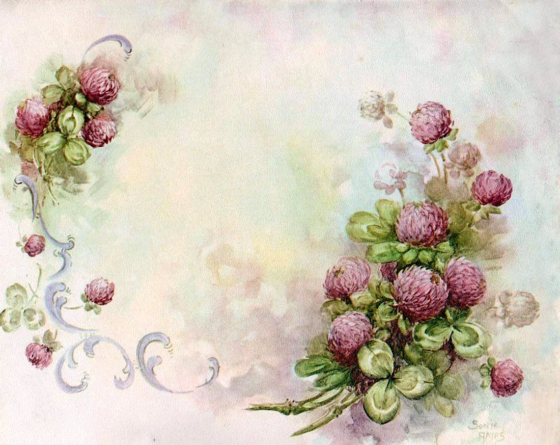 Художник Sonie Ames