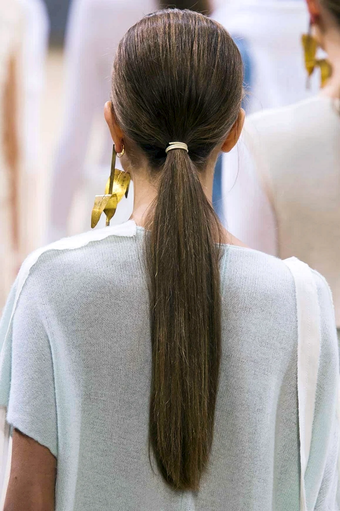 Хвост ponytail