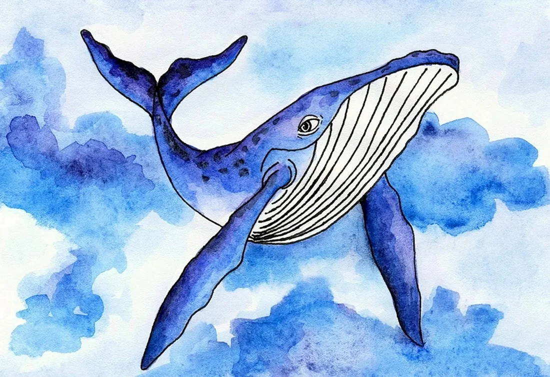 Кит рисунок
