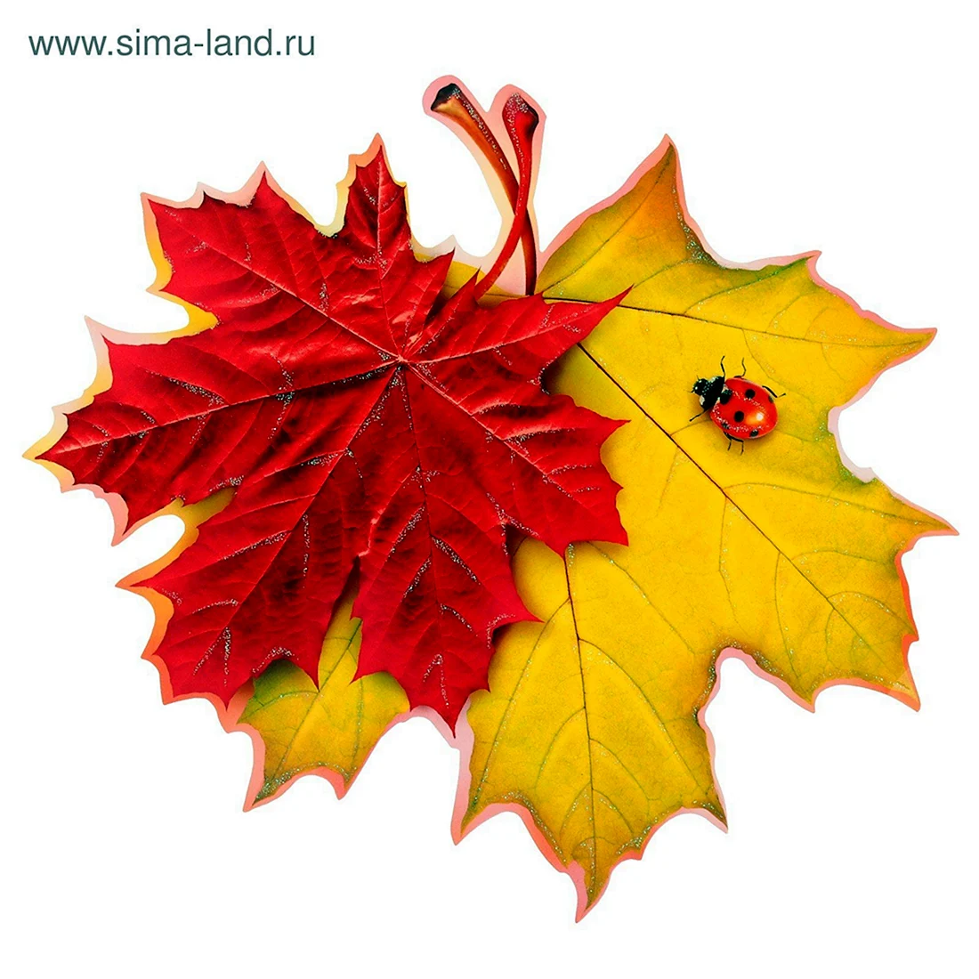 Кленовый лист