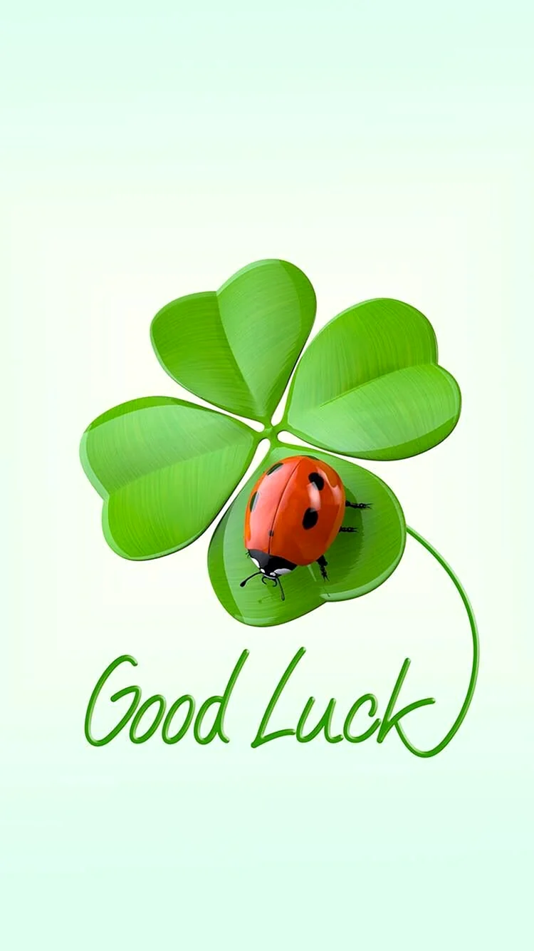 Клевер четырехлистный good luck