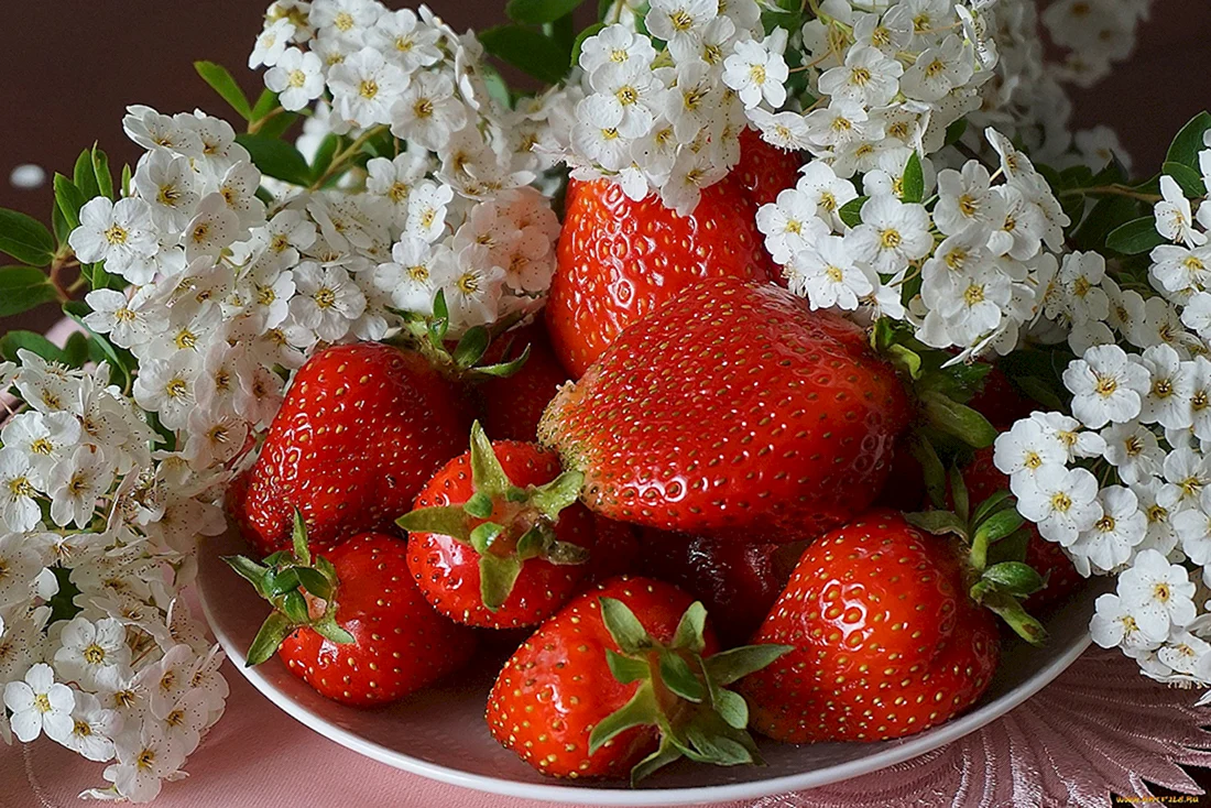 Клубника