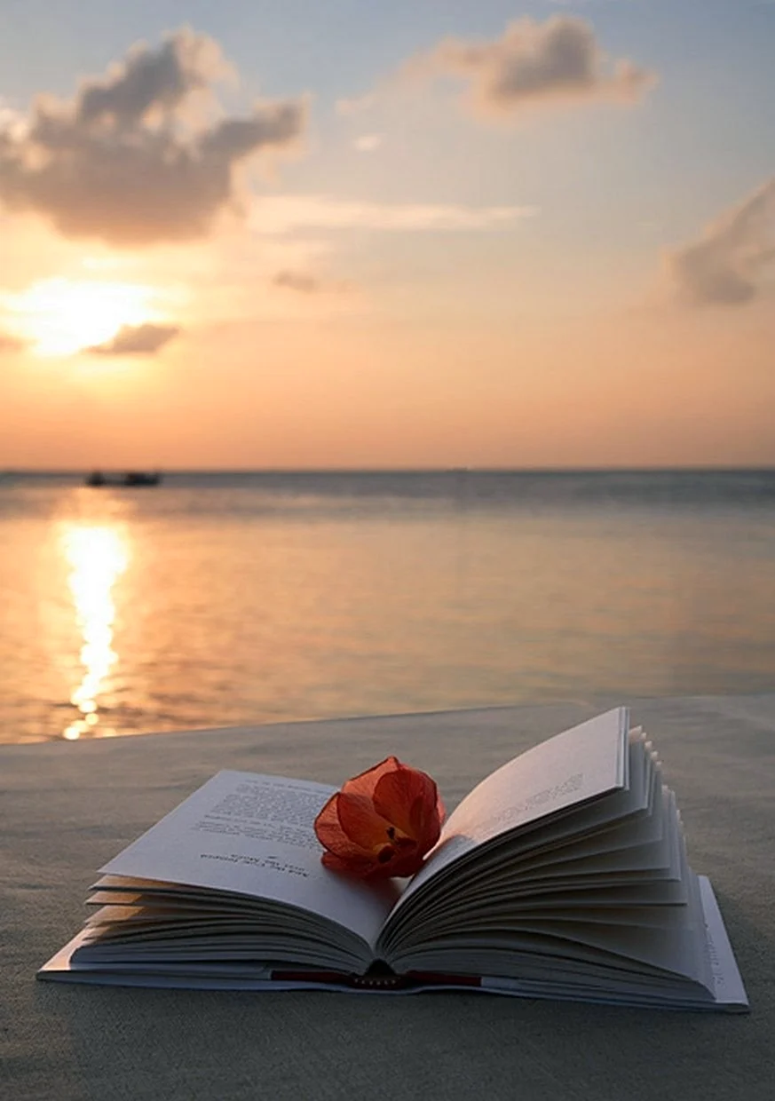 Книга море