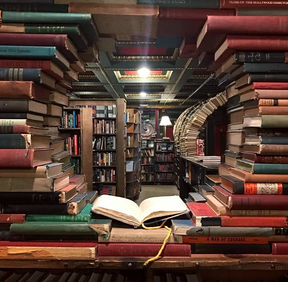 Книжная библиотека