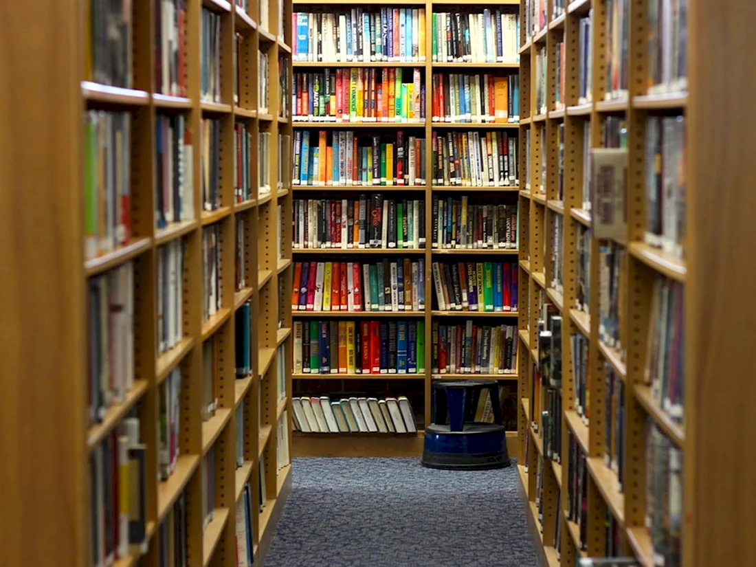 Книжные полки в библиотеке