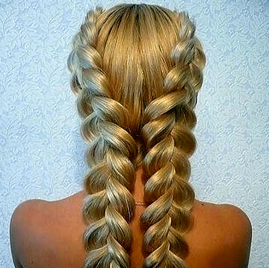 Колоски