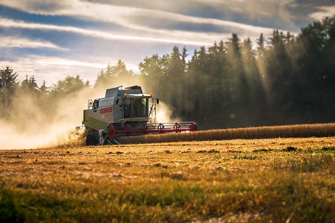Кормоуборочная машина Bruder CLAAS PU 300 HD 02325