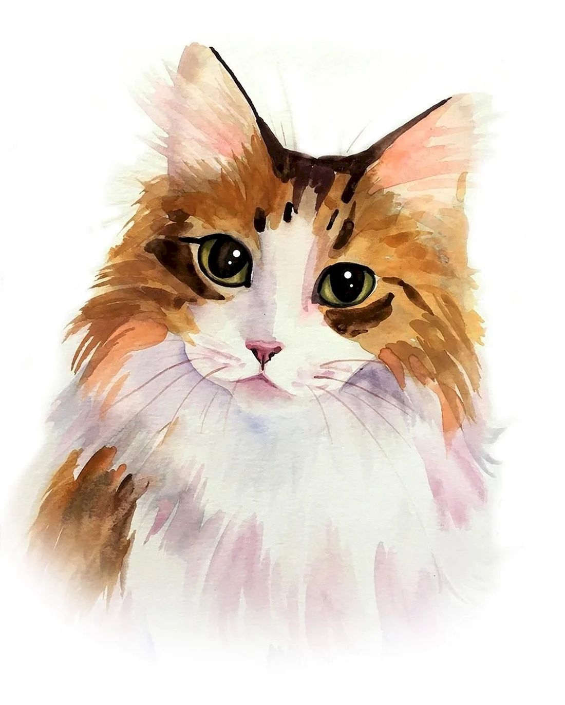 Кошка акварелью