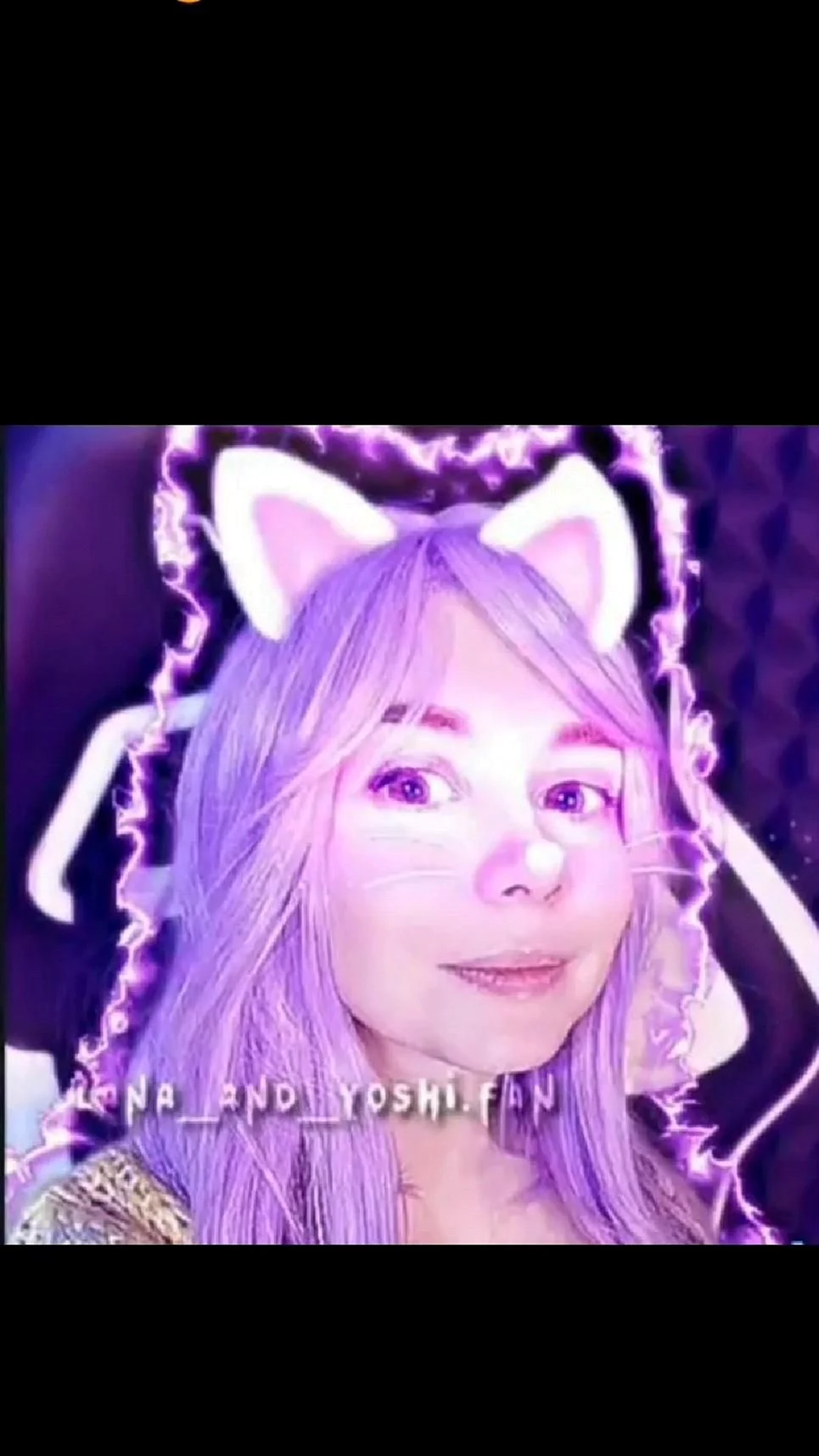 Кошка Лана