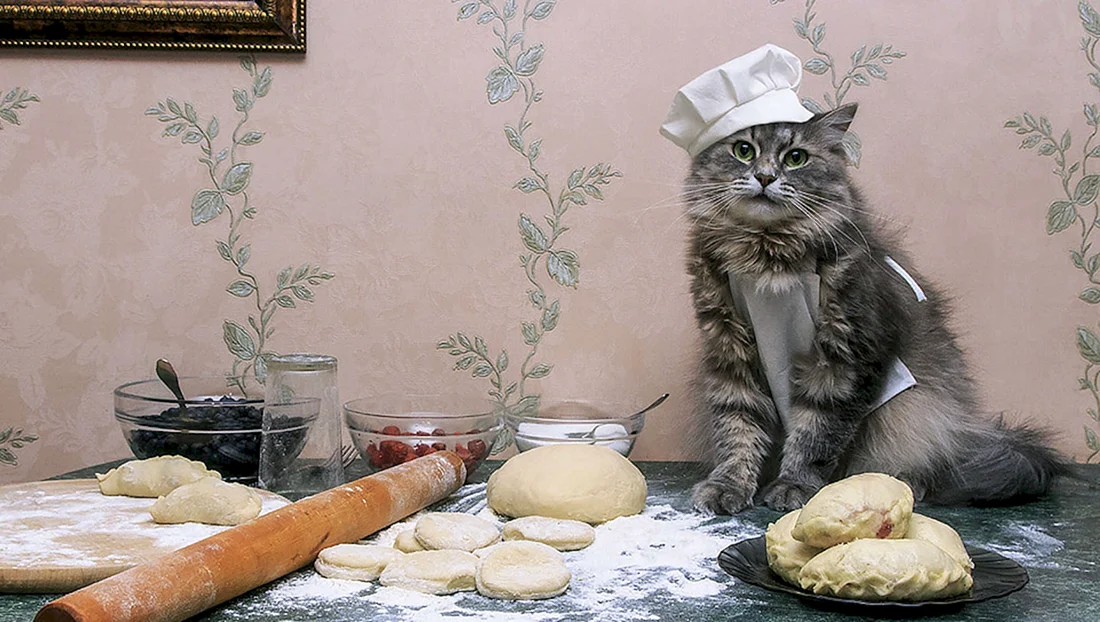 Кошка на кухне