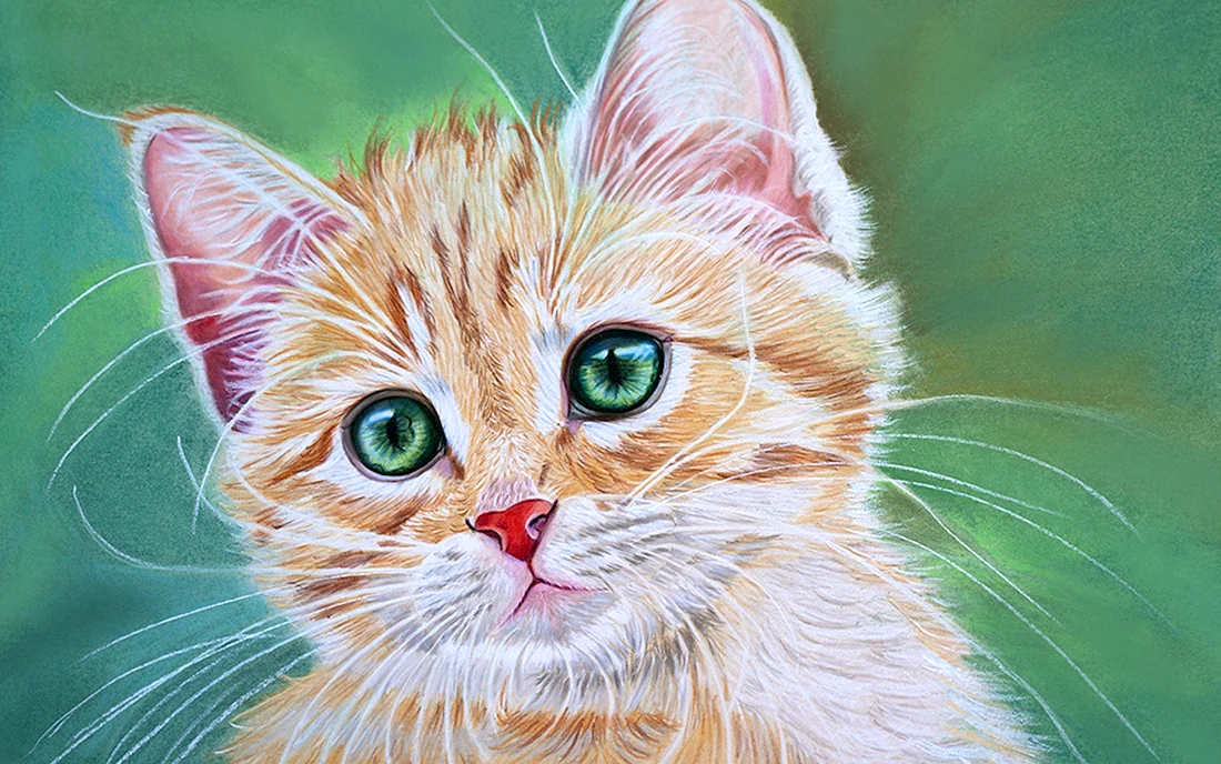 Кошка рисунок