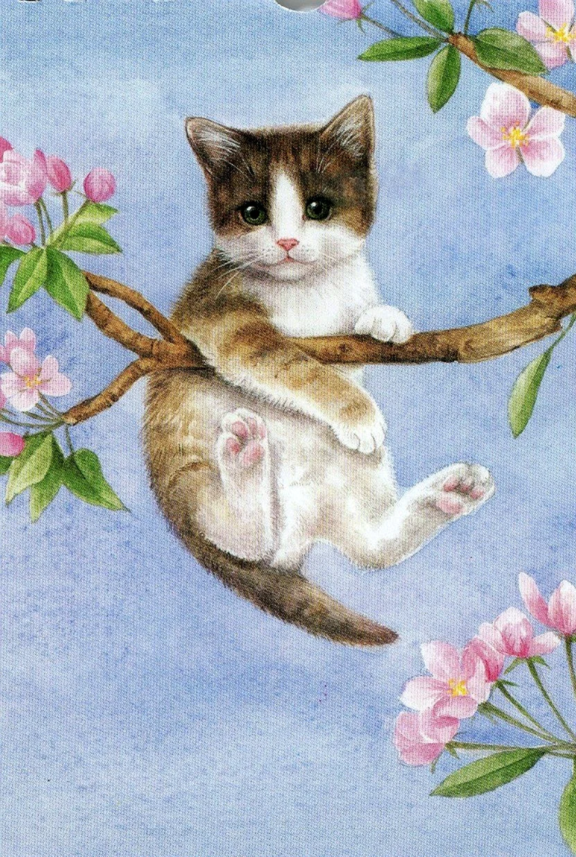 Кошка Весна