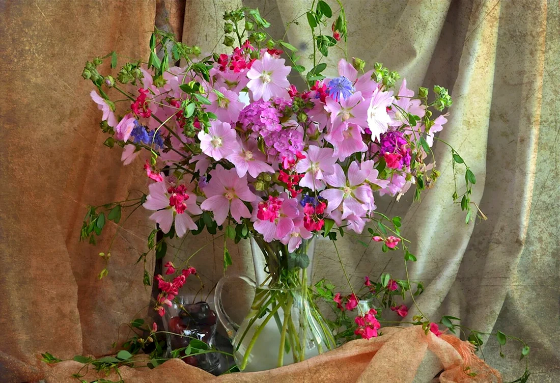 Космея с флоксами