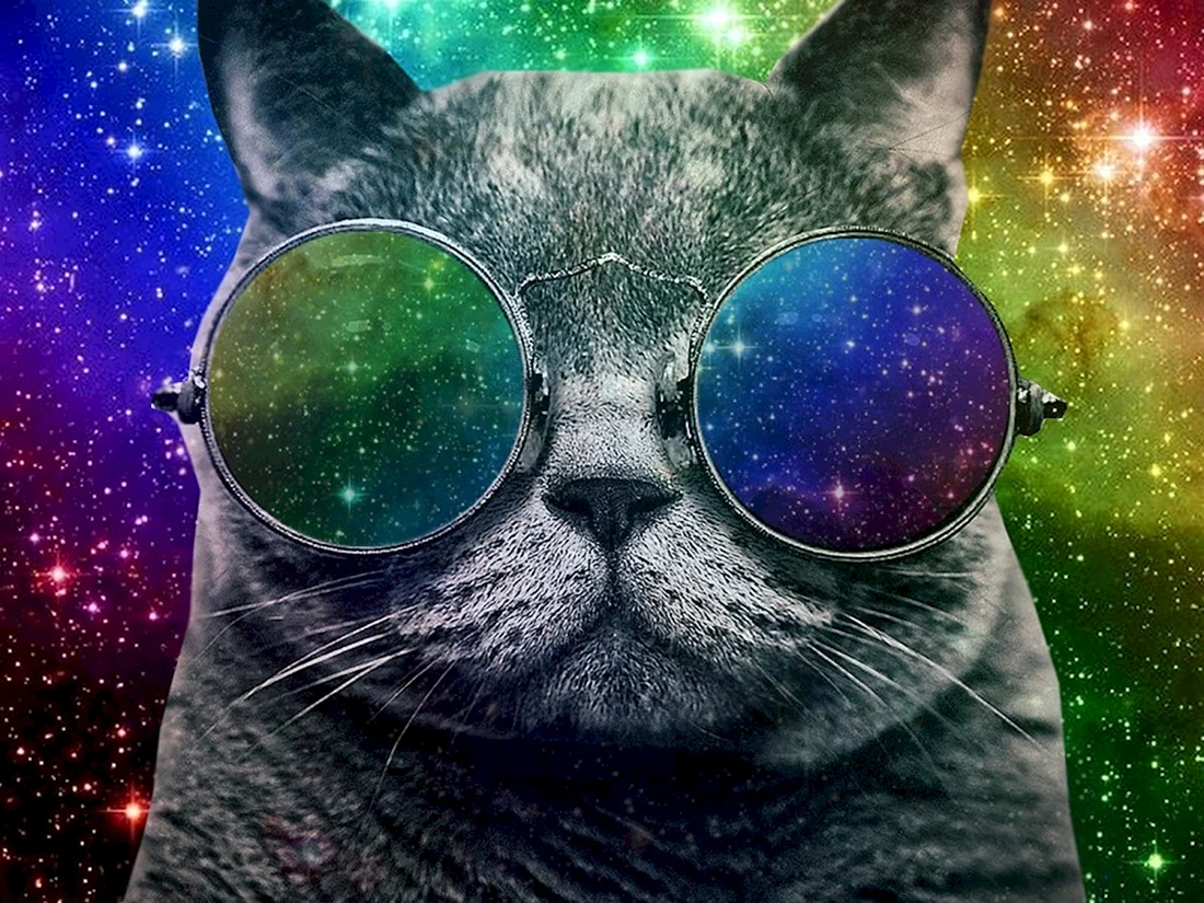 Космический кот