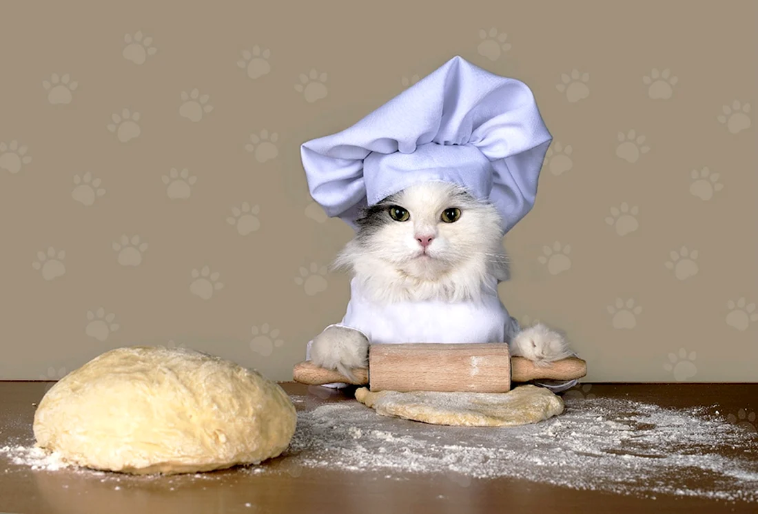 Кот пекарь