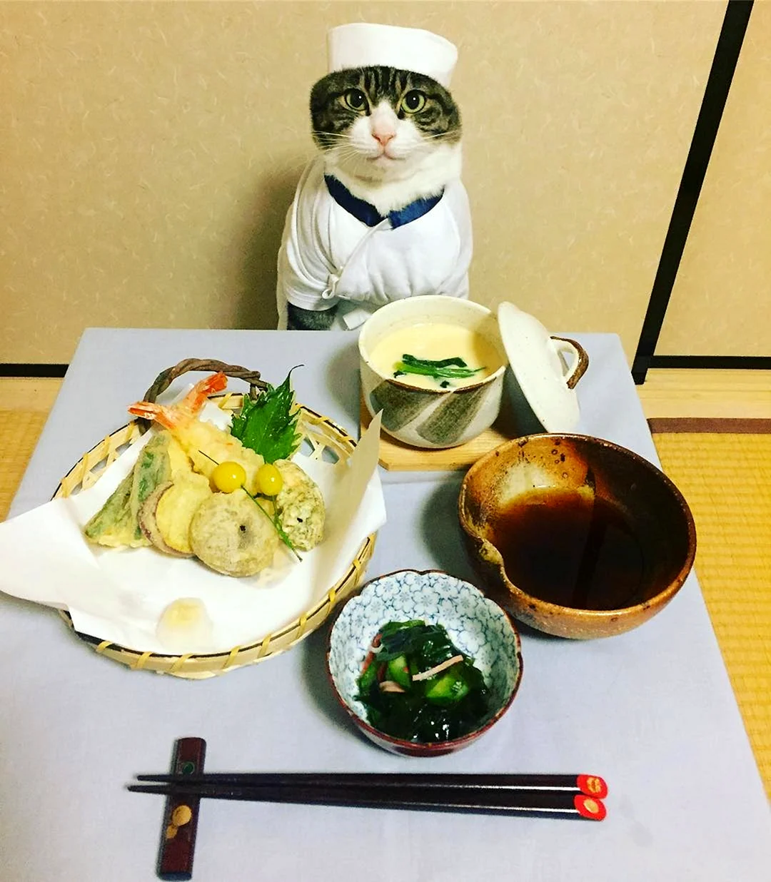 Кот повар