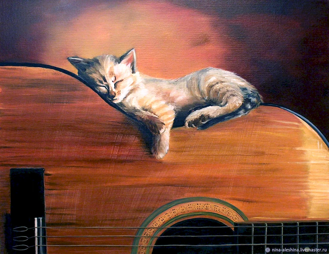 Кот с гитарой