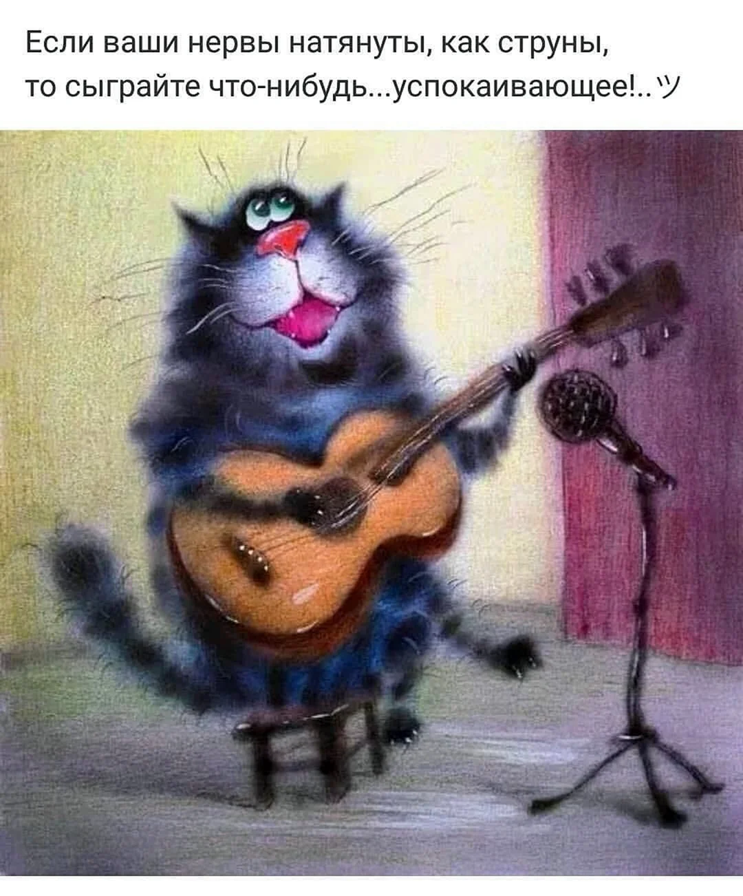 Кот с гитарой