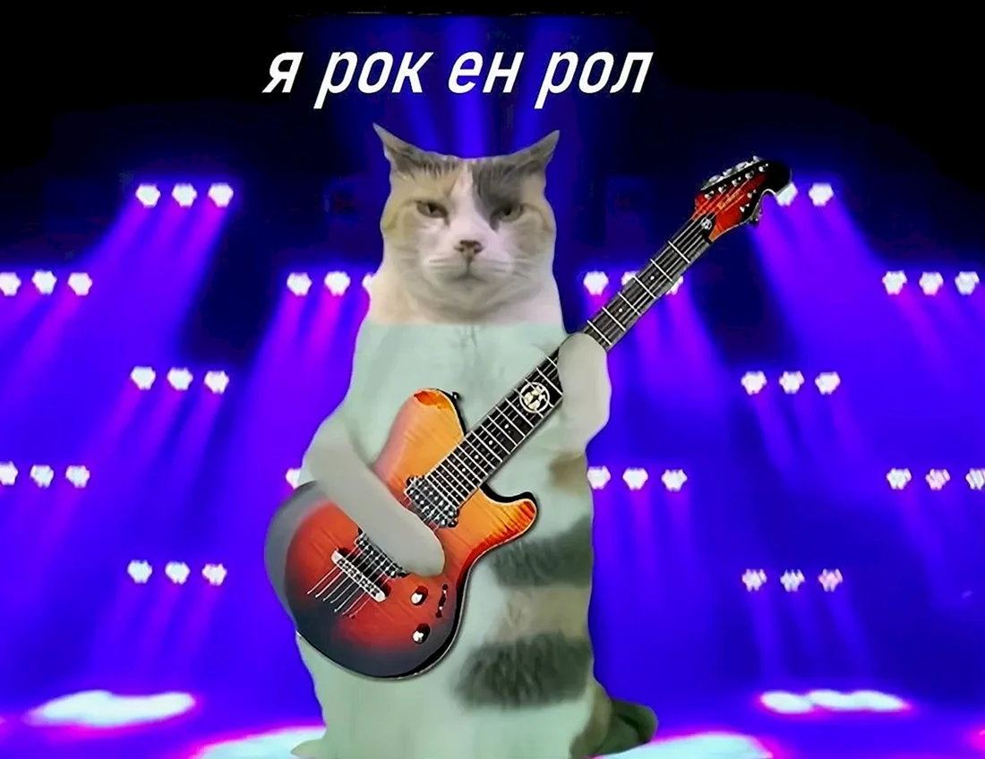 Кот с гитарой
