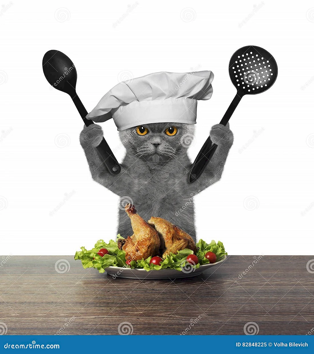 Кот в поварском колпаке