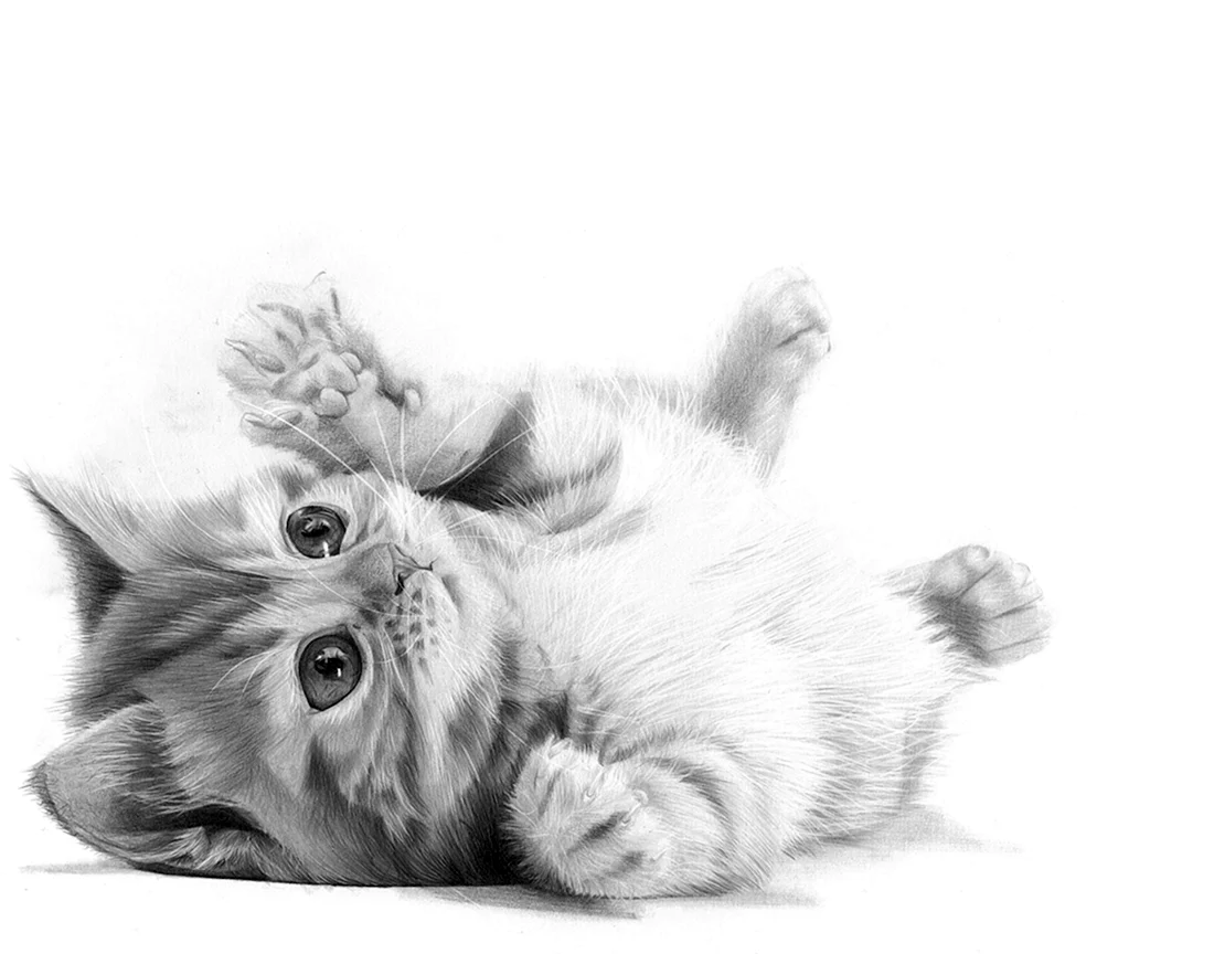 Котенок рисунок