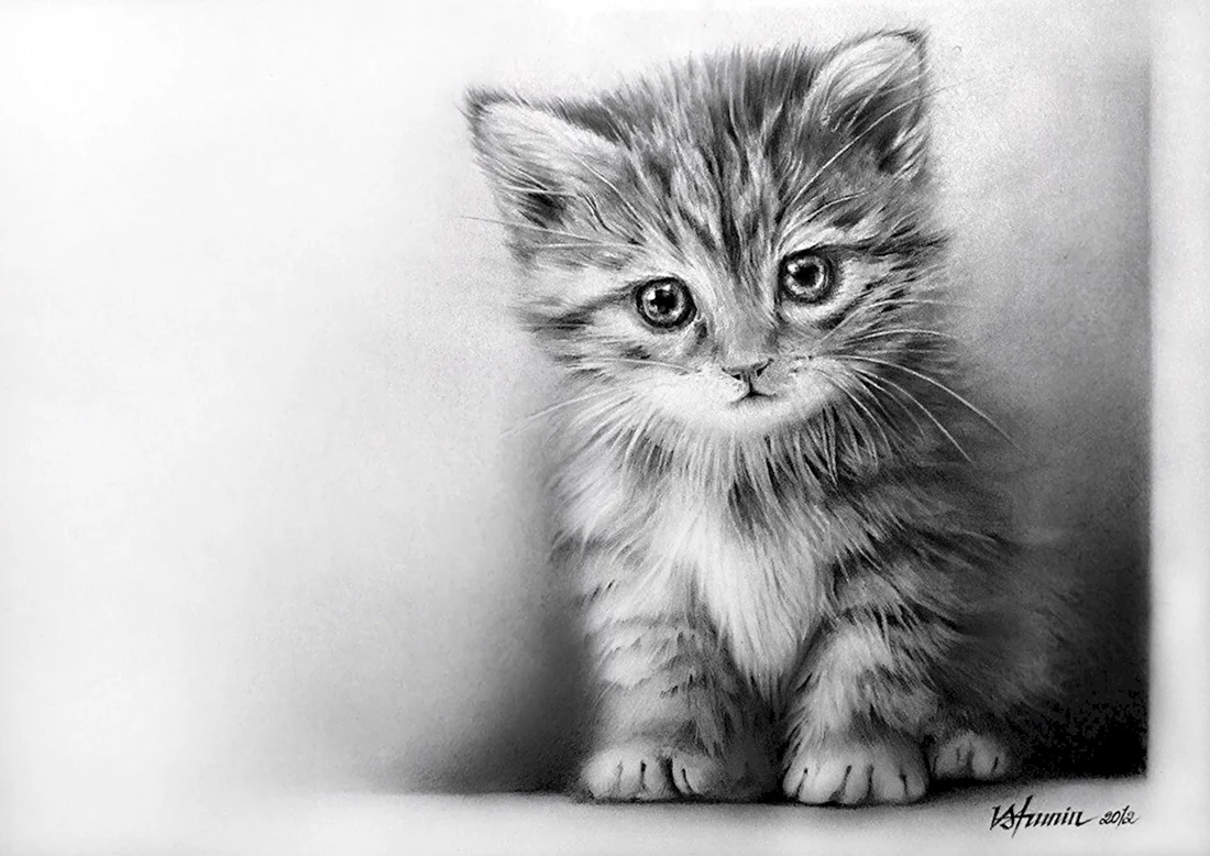 Котенок рисунок
