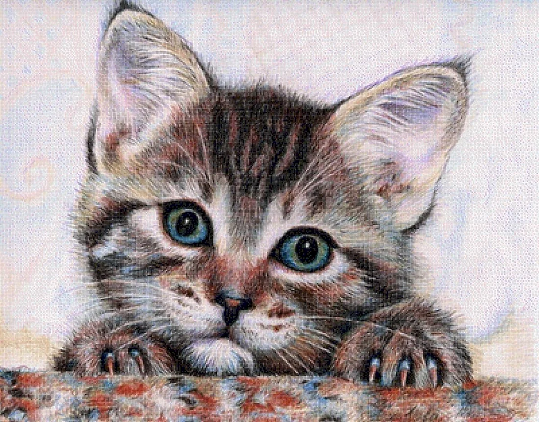 Котенок цветными карандашами