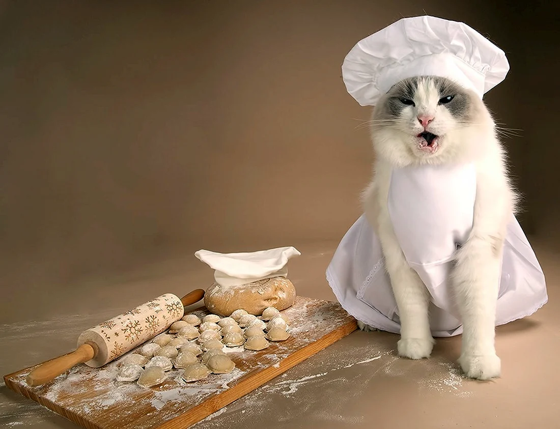 Котята поварята