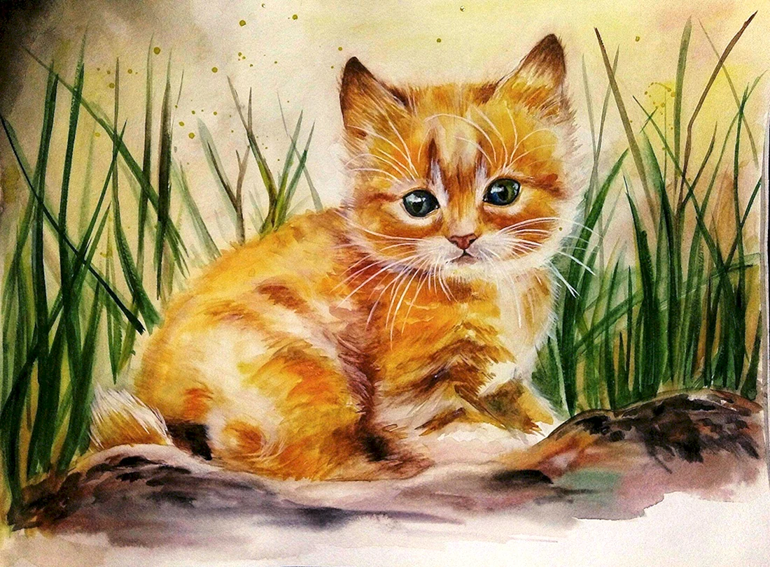 Котик рисунок