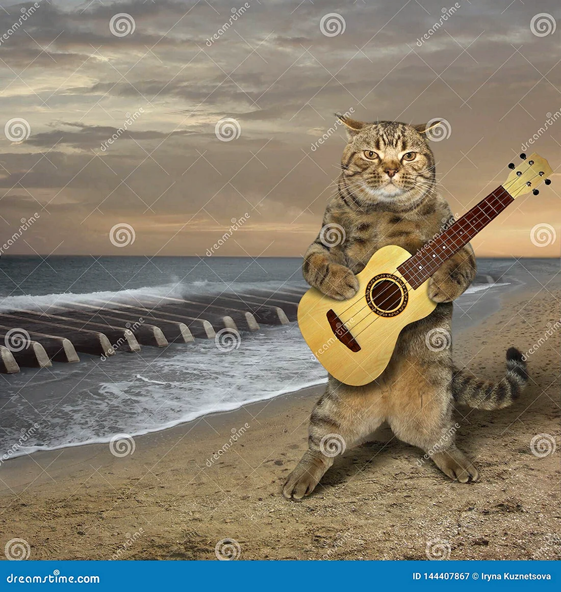Котик с гитарой