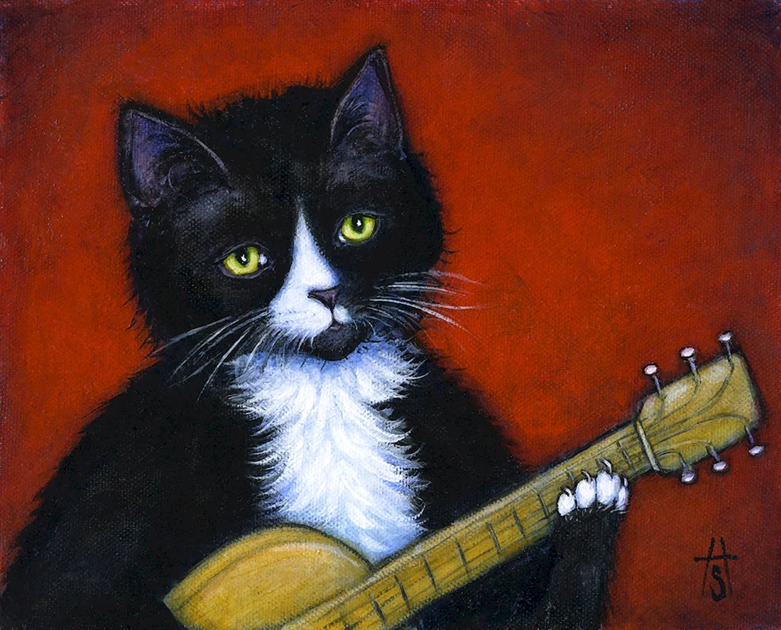Котик с гитарой