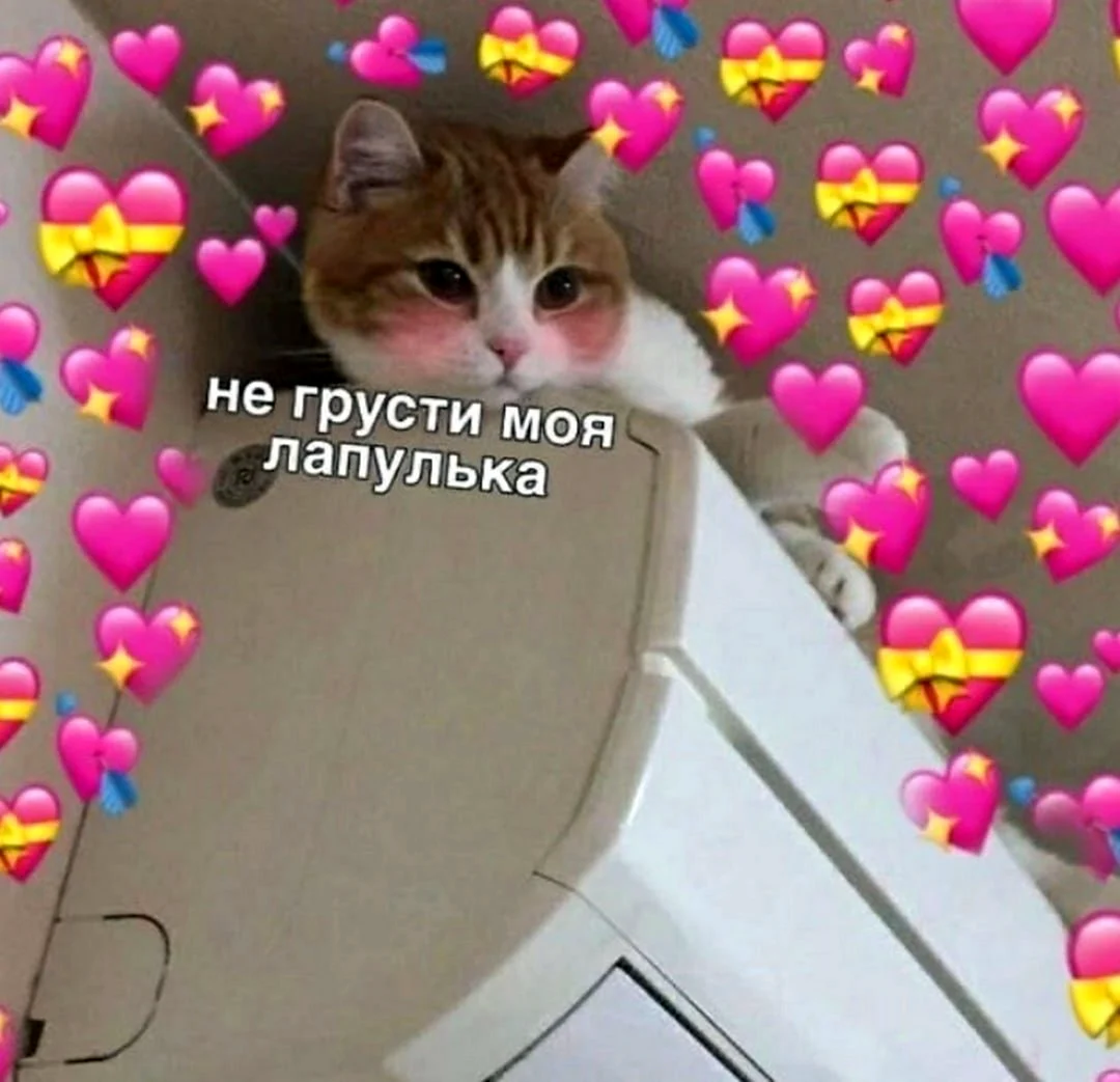 Котик с сердечком
