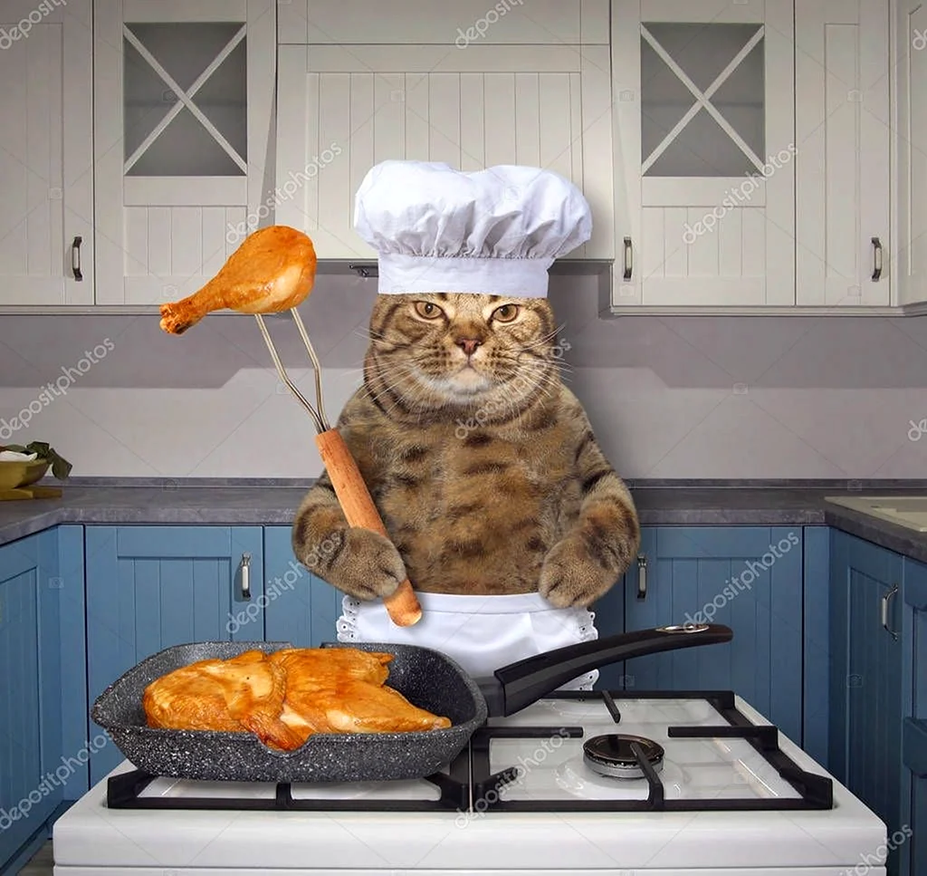 Котик в поварском колпаке