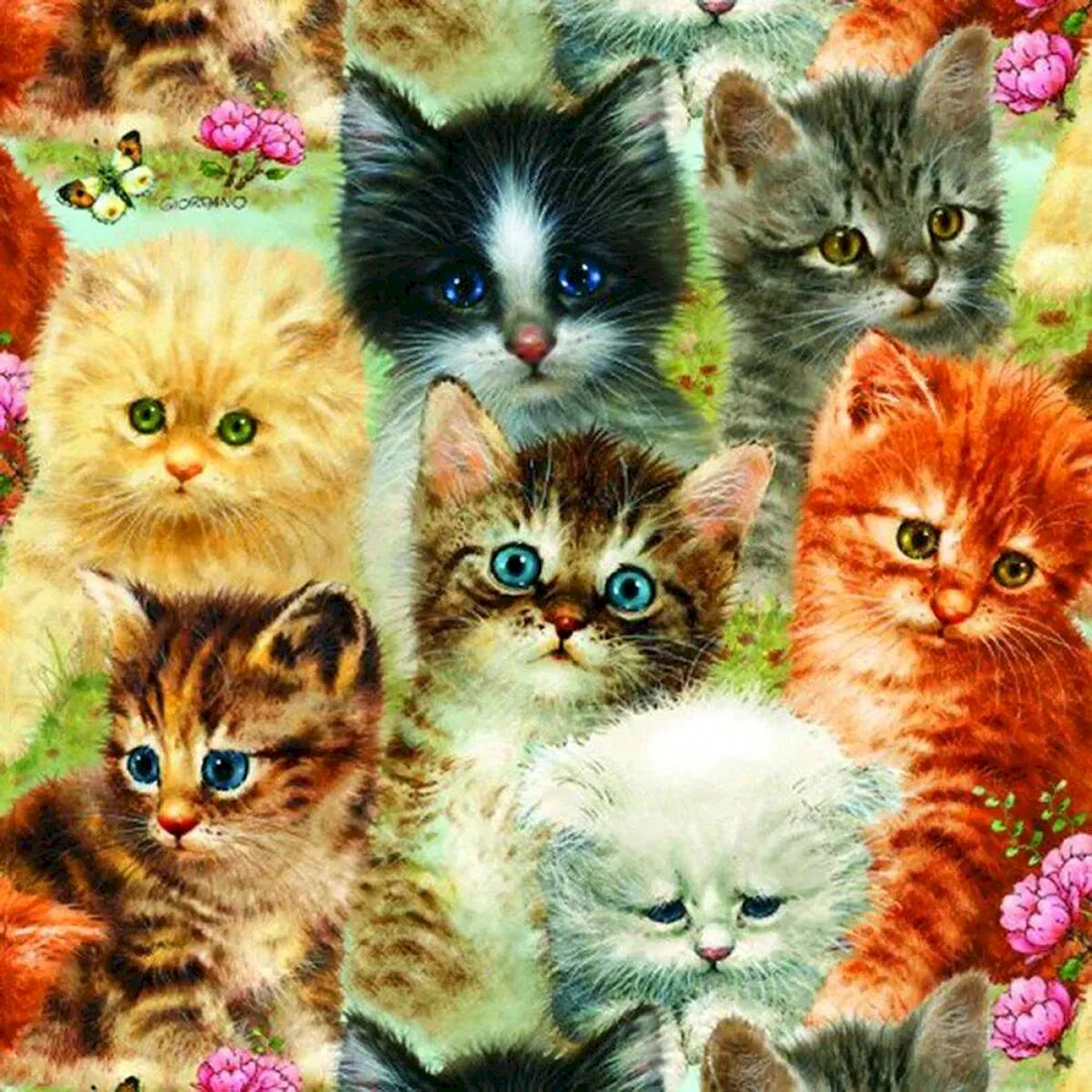 Котики много