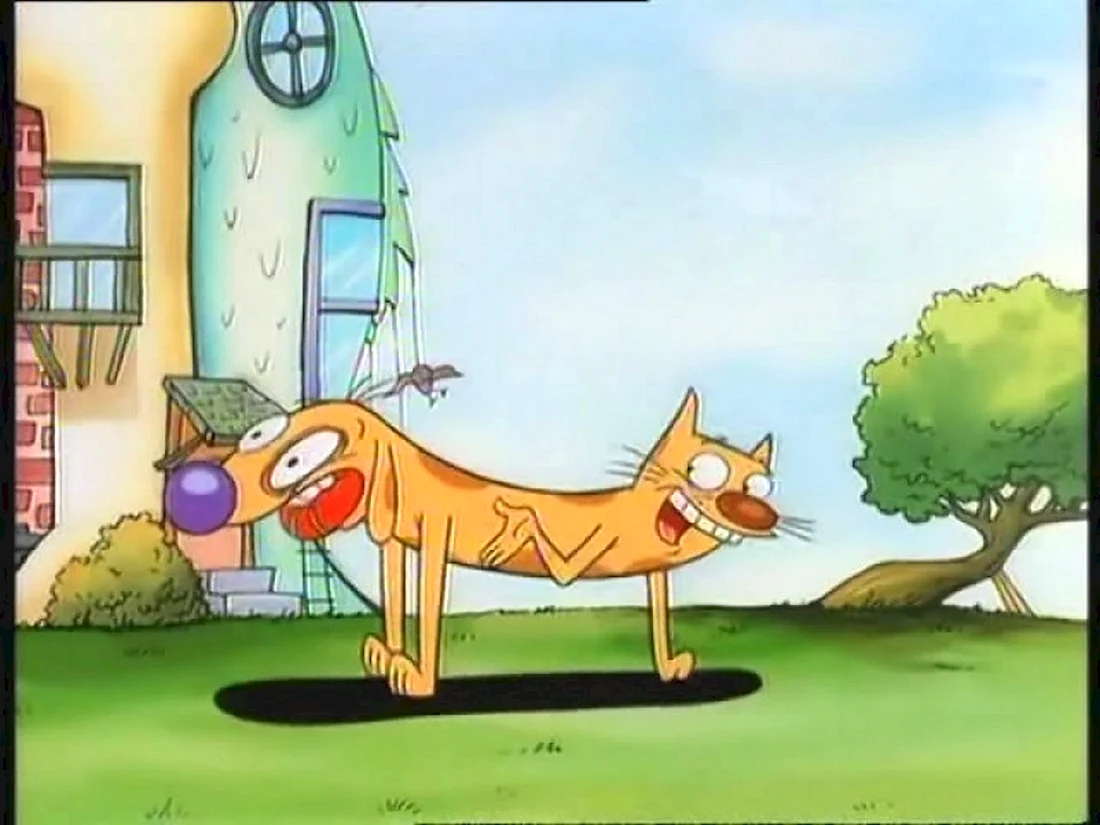 Котопес CATDOG