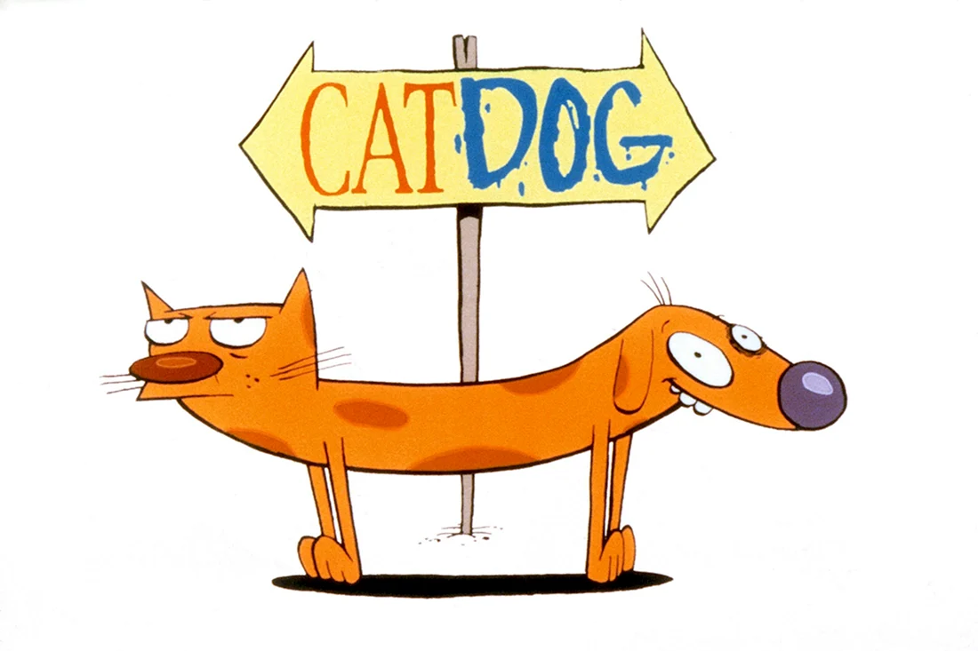 Котопес мультсериал