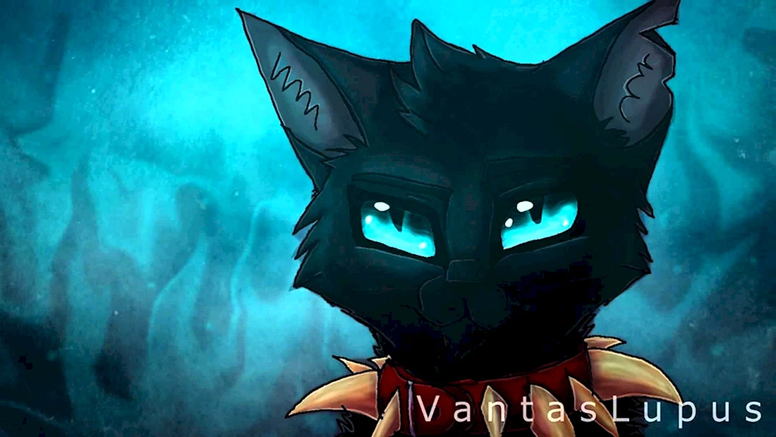 Коты Воители Бич