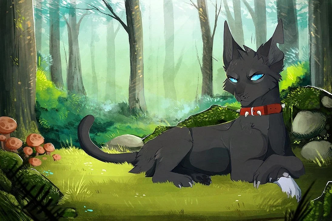 Коты Воители Бич