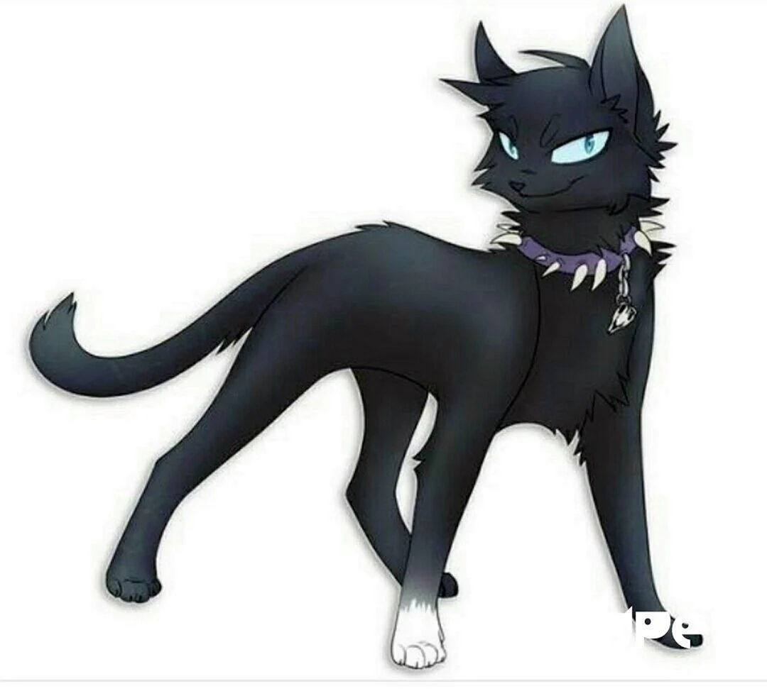 Коты Воители Бич