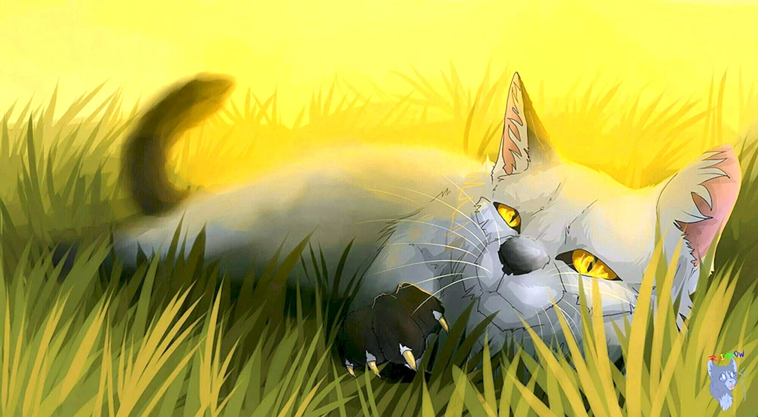 Коты Воители Чернозвёзд