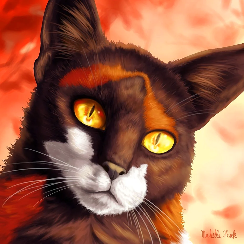 Коты Воители сол