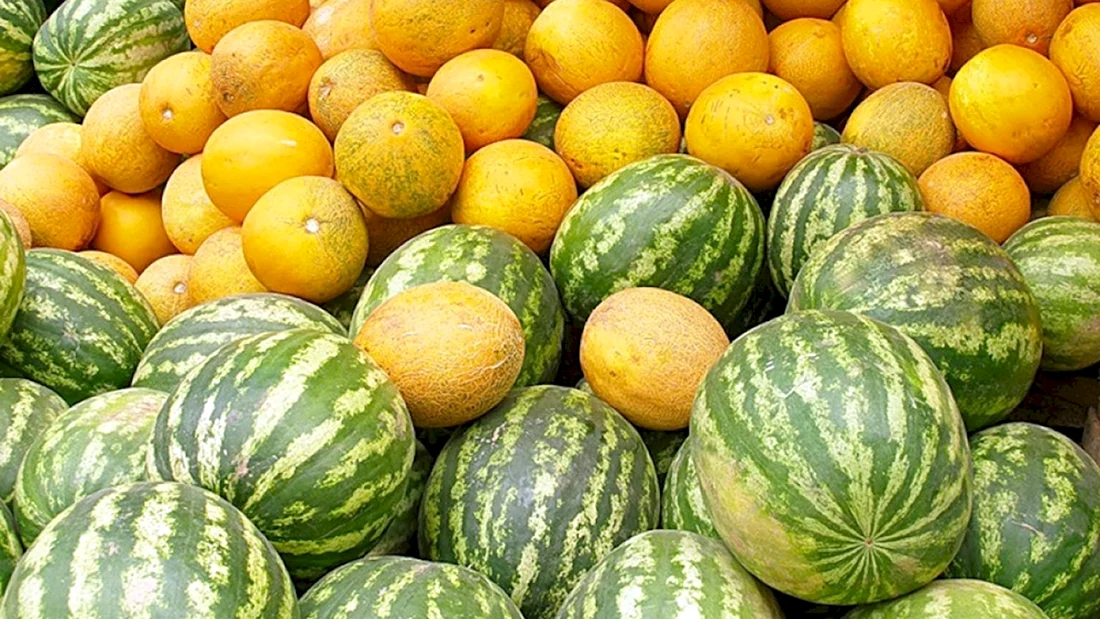 Қовун тарвуз