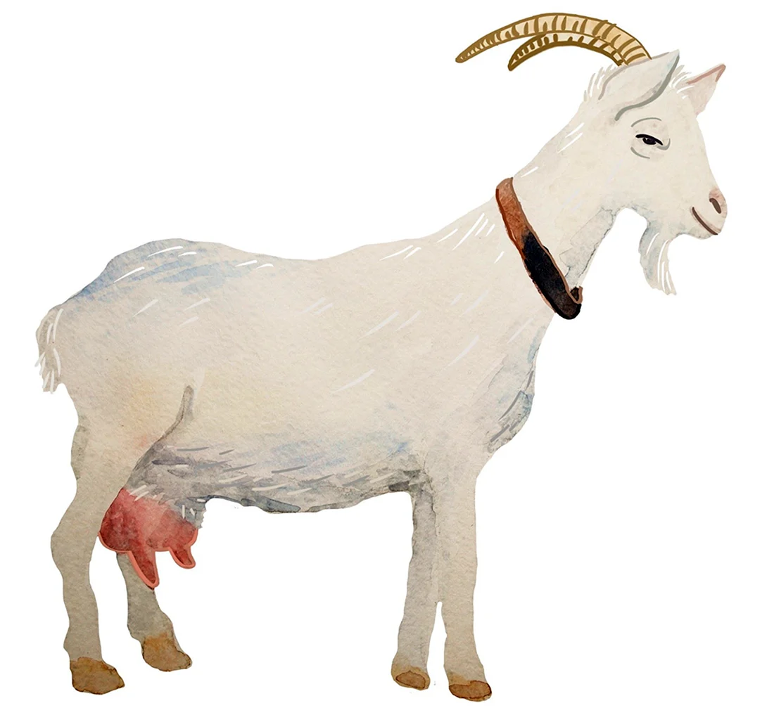 Коза для детей