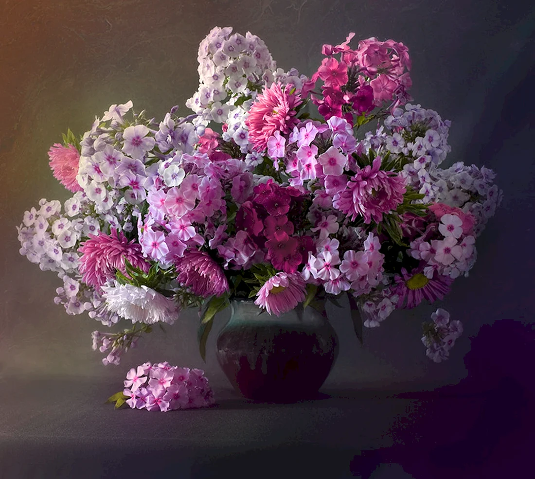 Крамской Флоксы