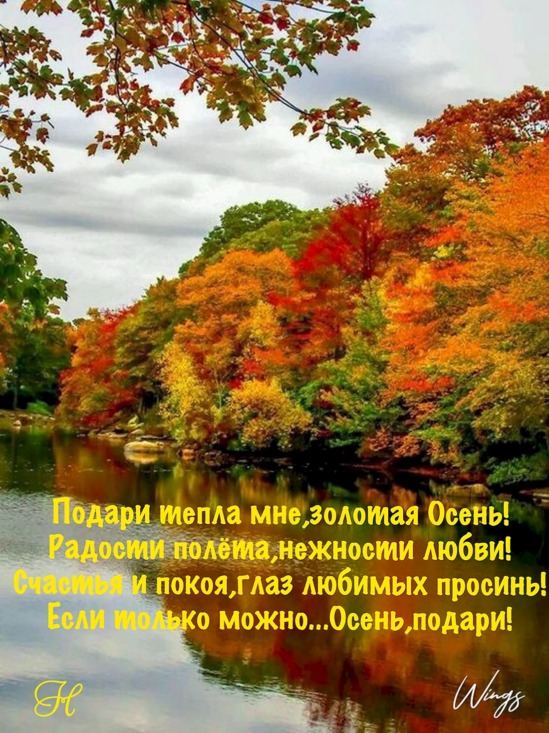 Красивая осень