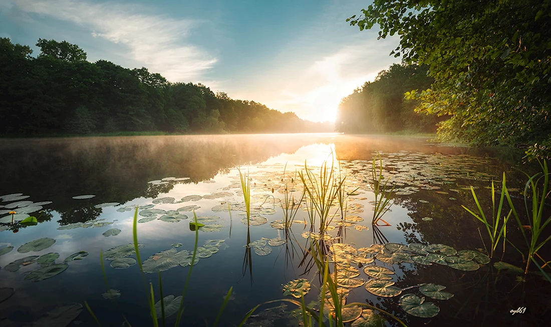 Красивая природа
